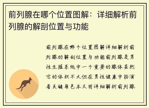 前列腺在哪个位置图解：详细解析前列腺的解剖位置与功能