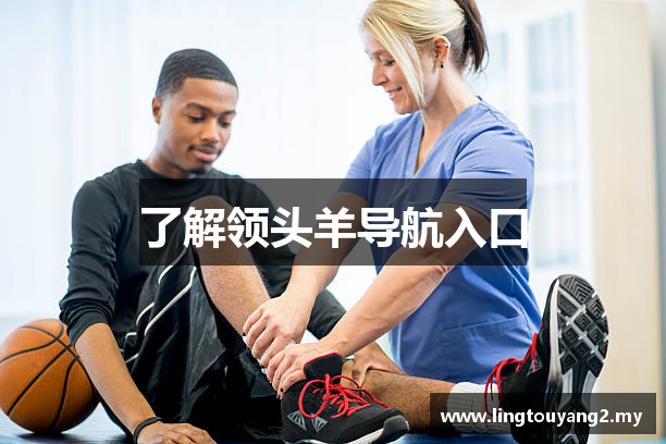 了解领头羊导航入口